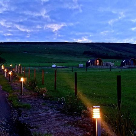 Lilly'S Lodges Orkney Hedgehog Lodge Finstown Exteriér fotografie