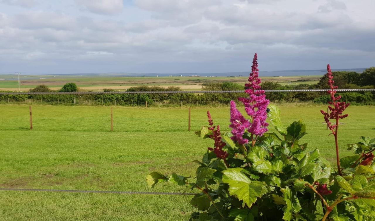 Lilly'S Lodges Orkney Hedgehog Lodge Finstown Exteriér fotografie
