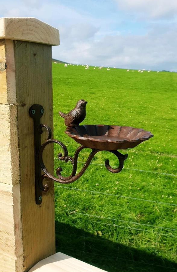 Lilly'S Lodges Orkney Hedgehog Lodge Finstown Exteriér fotografie