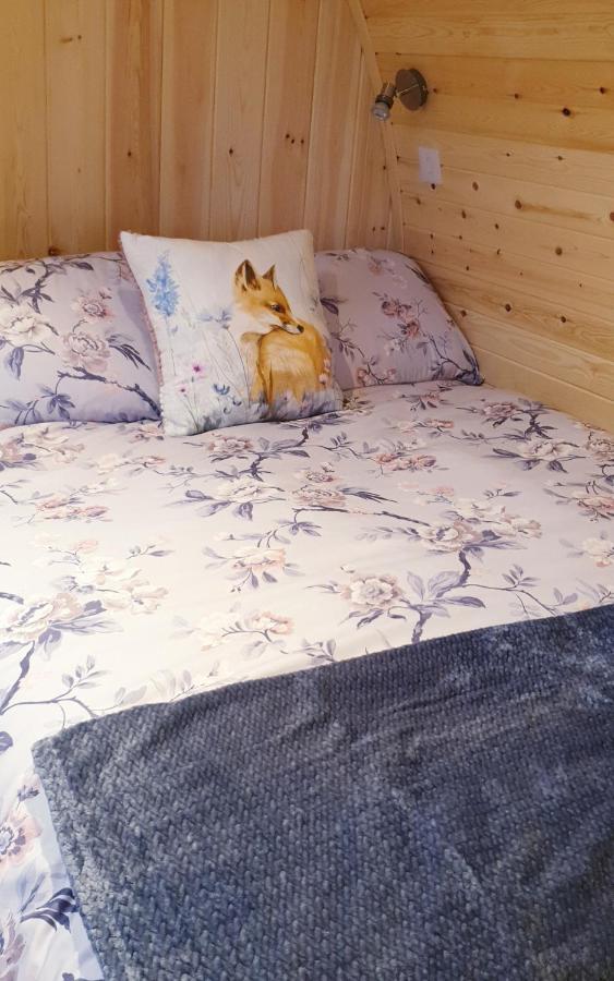 Lilly'S Lodges Orkney Hedgehog Lodge Finstown Exteriér fotografie